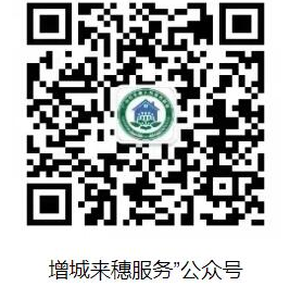 已编辑图片
