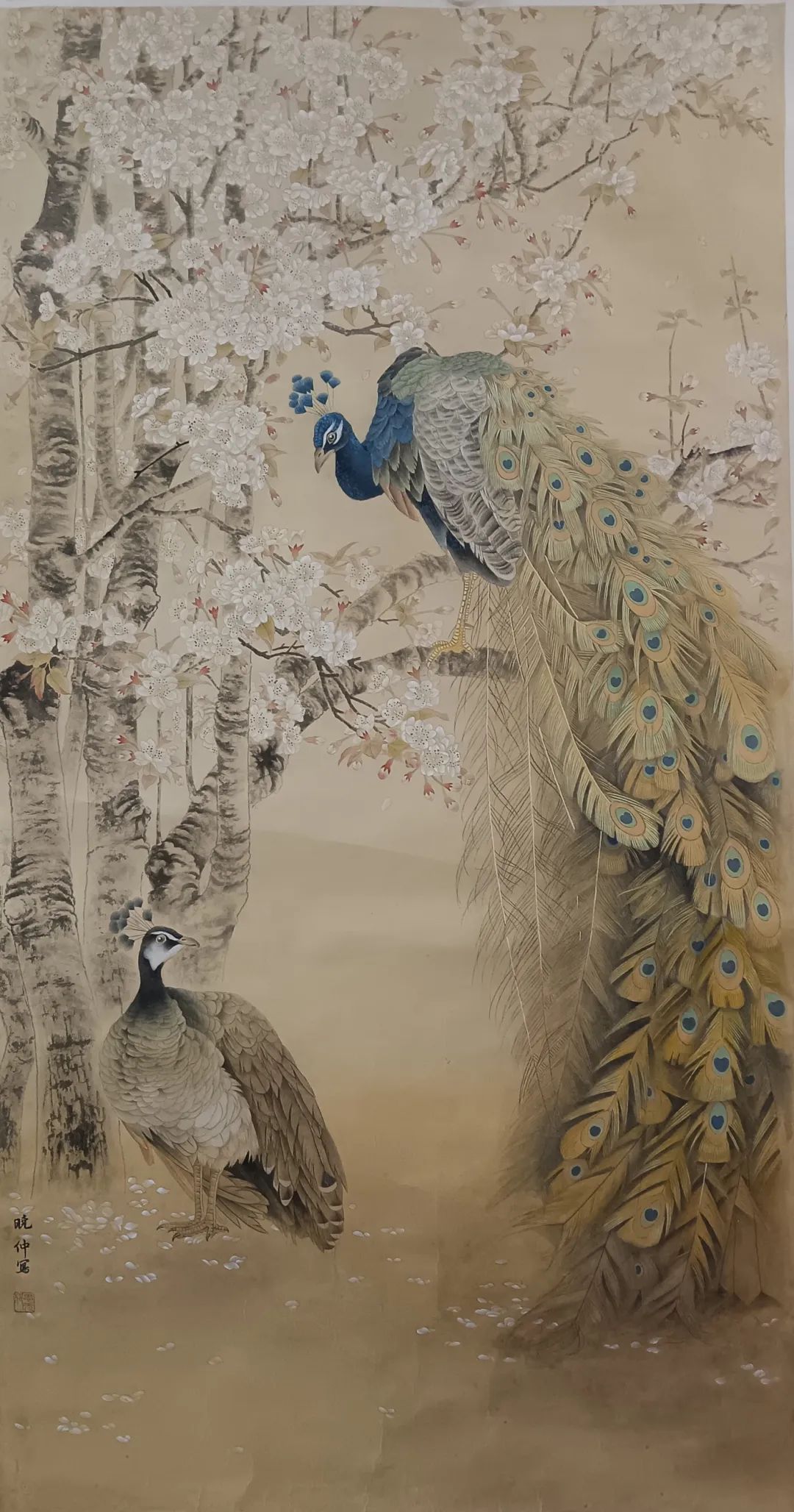 图片