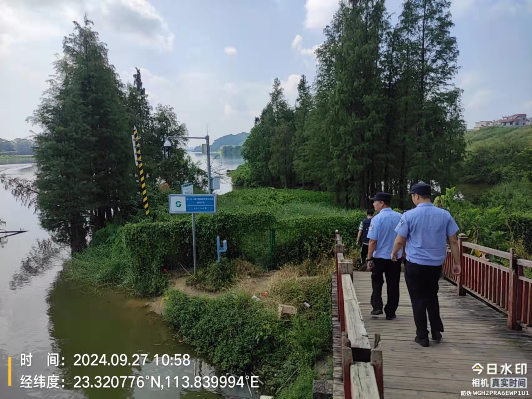 93d6feace39c2f4043cbed506a73c767.jpg
