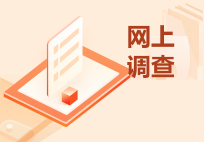 网上调查